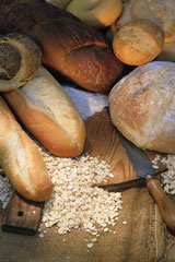 Group of wheat breads