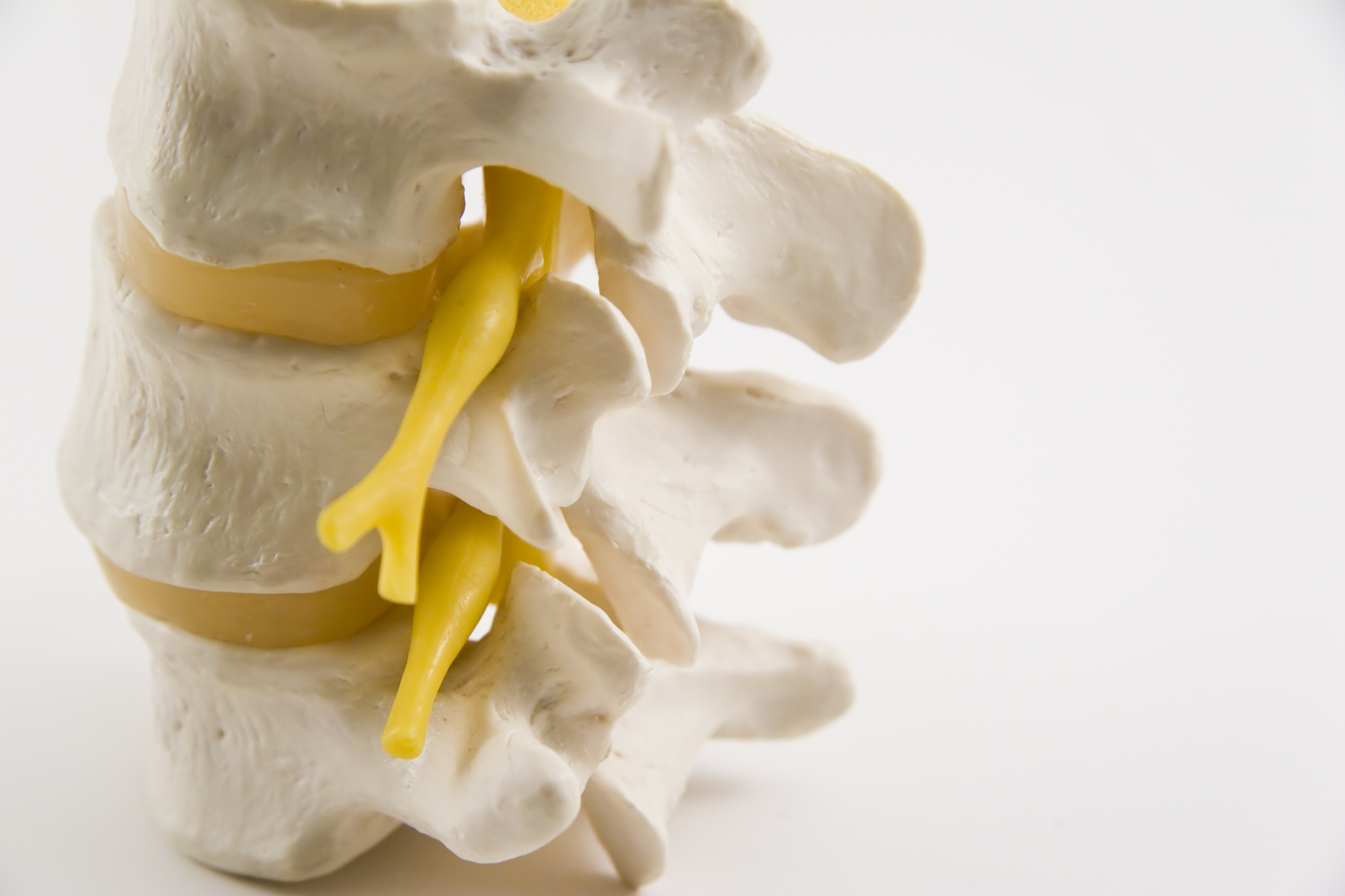 The Psychology Of Low Back Pain Harvard Health Blog