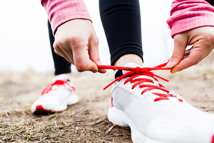 harvard physical exercise brain plasticity