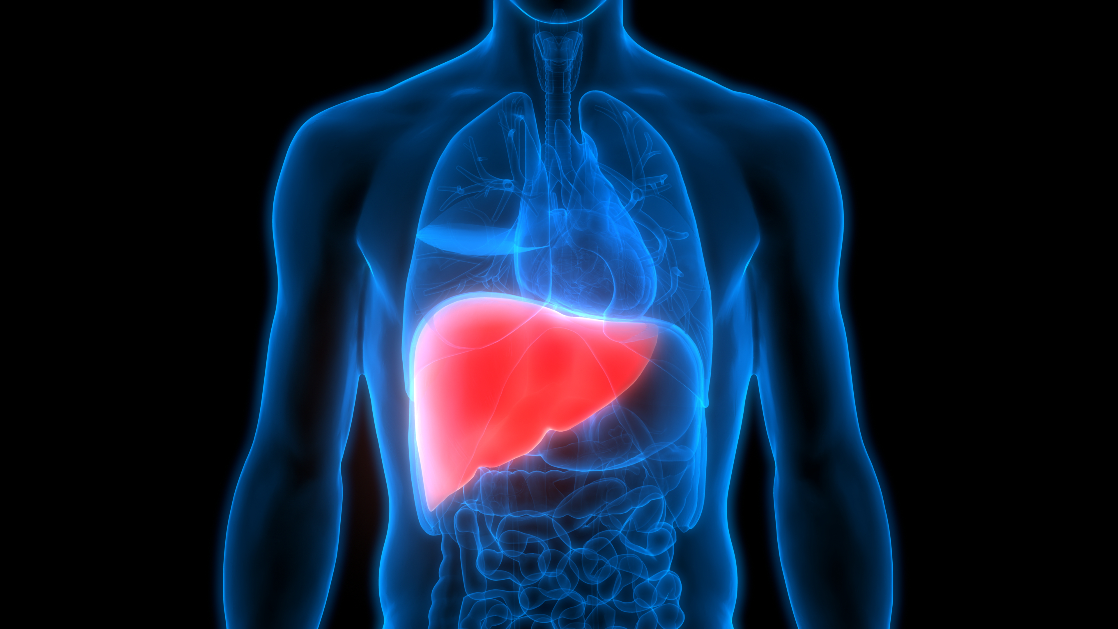 Fatty liver disease: What it is and what to do about it - Harvard ...